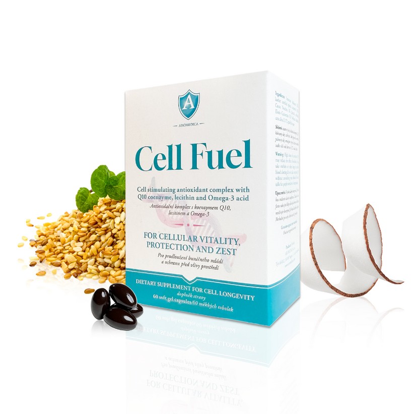 CELL FUEL 